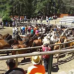 Os Carballos Pontevedra