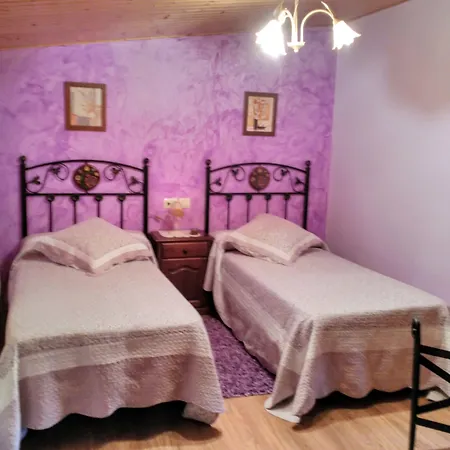 Séjour à la campagne Os Carballos *