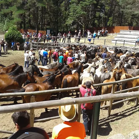 Os Carballos Pontevedra
